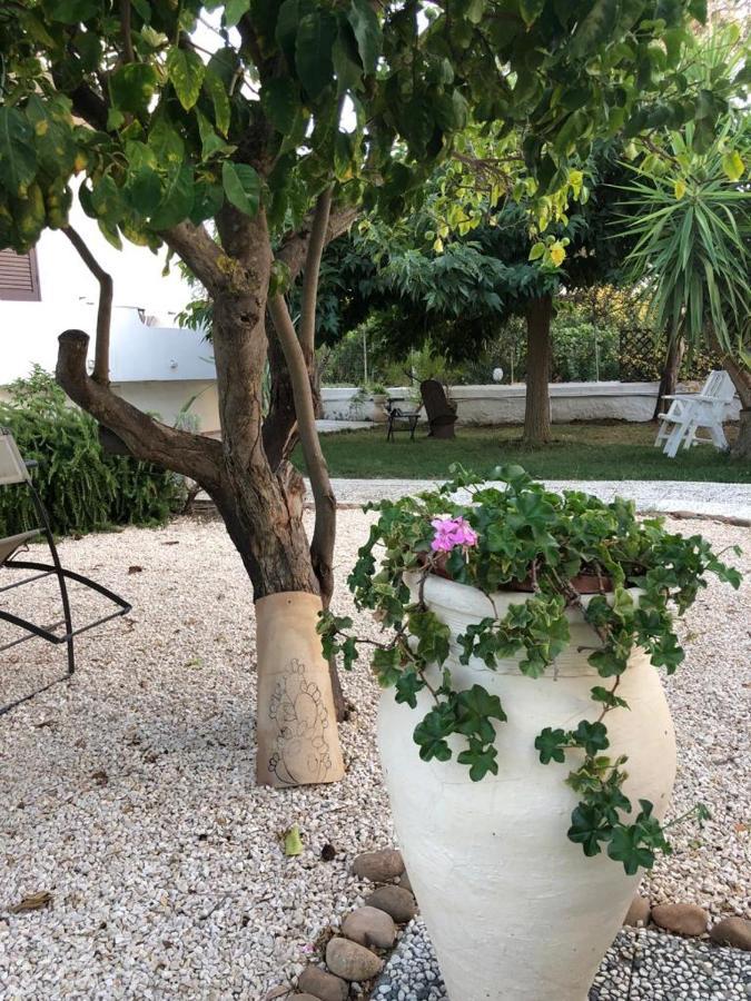 אגריג'נטו Il Gelso Nella Valle מראה חיצוני תמונה